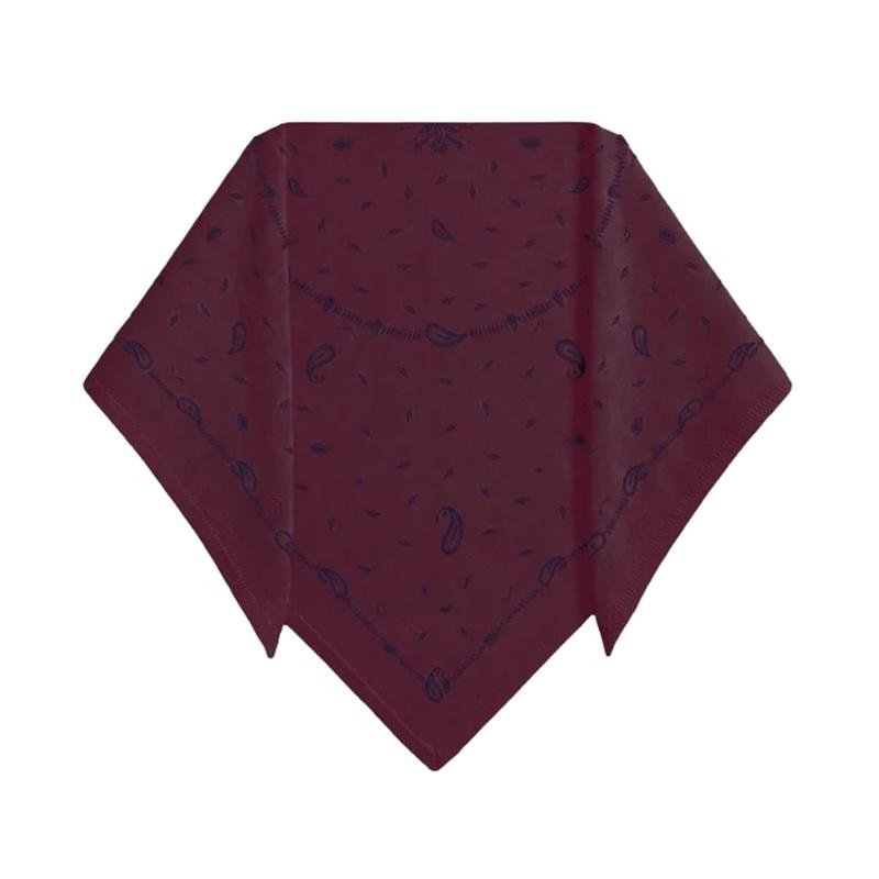 ABSOLUT CASHMERE - Écharpe Armance print burgundy