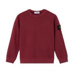 STONE ISLAND JUNIOR - Sweat compass bordeaux - Nouveauté 